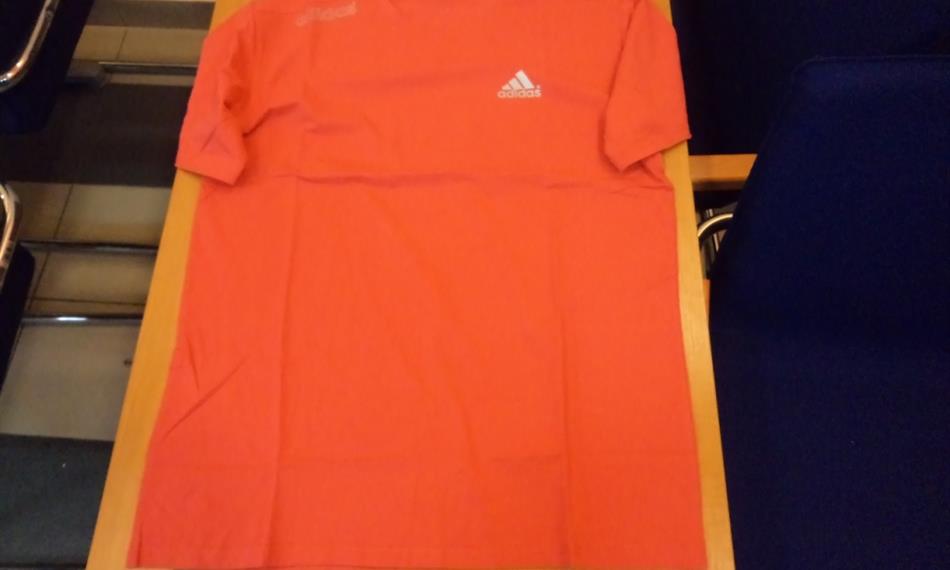 2013-8-29-1349Holešovice padělky.JPG